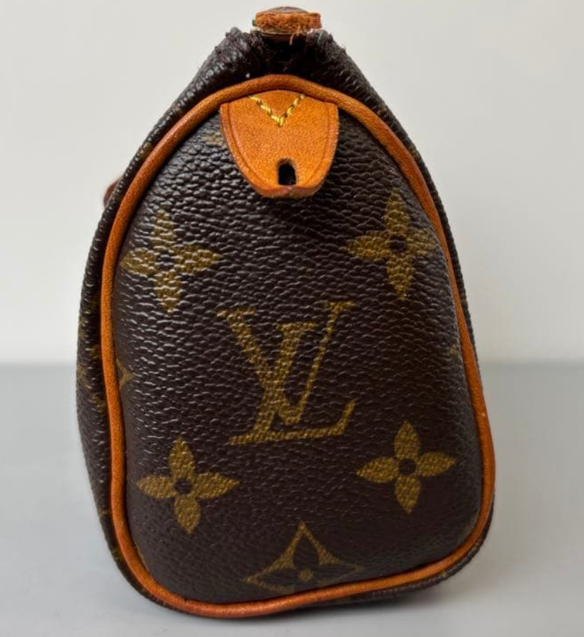 Louis Vuitton Nano Speedy Monogram