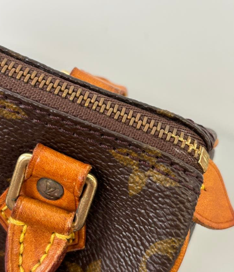 Louis Vuitton Nano Speedy Monogram