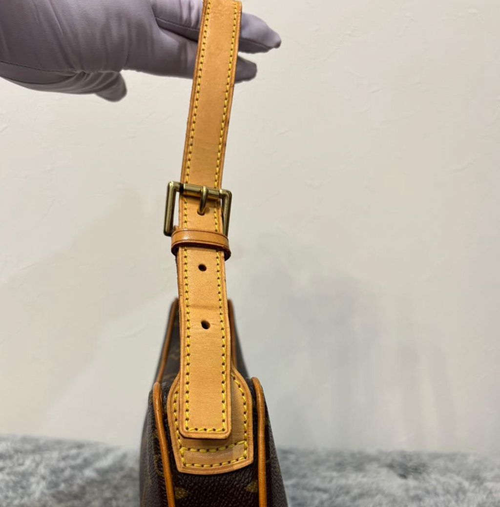 Sac Louis Vuitton Pochette Croissant PM