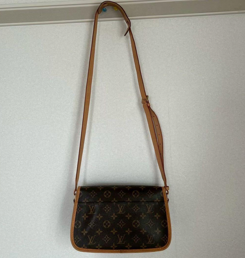 Louis Vuitton Solongne Monogram Crossbody Bag Brown