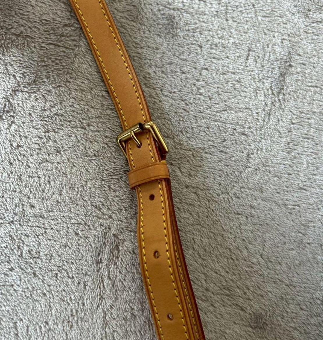 Louis Vuitton Solongne Monogram Crossbody Bag Brown